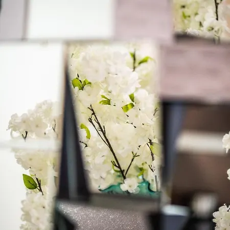 Ms Pro Aquarius * Колобжег